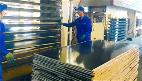金亨木業(yè)有限公司 建筑模板