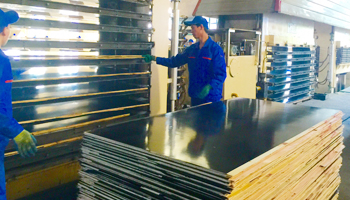 金亨木業(yè)有限公司 建筑模板